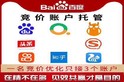百度广告投放策略优化及成功案例解析